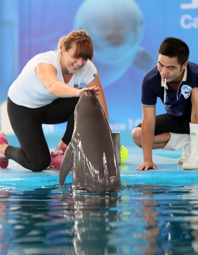 的可能性 的可能性